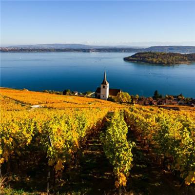 新宝十大登录平台