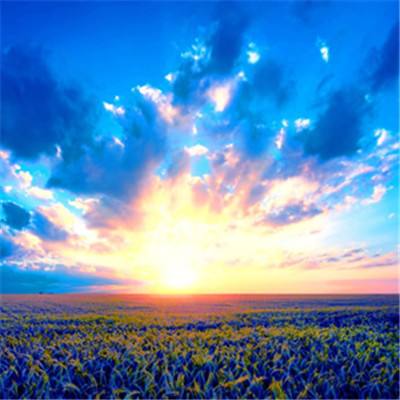 十大体育外围平台网址截图