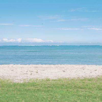 246天天好彩手机app下载