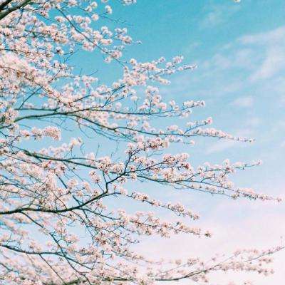 博鱼APP综合体育